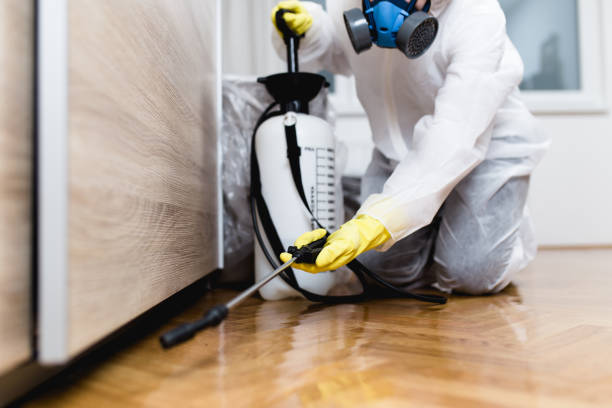 Best Wasp Removal Services  in West Liberty, OH