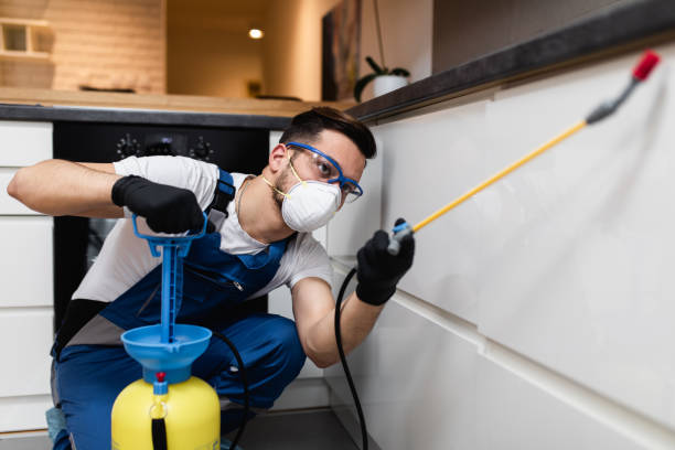 Best Best Pest Control Near Me  in West Liberty, OH