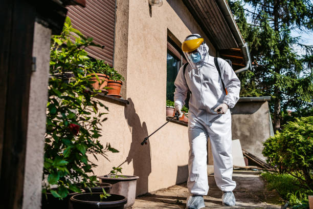 Best Affordable Pest Control Services  in West Liberty, OH