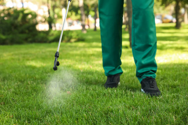 Best Residential Pest Control  in West Liberty, OH