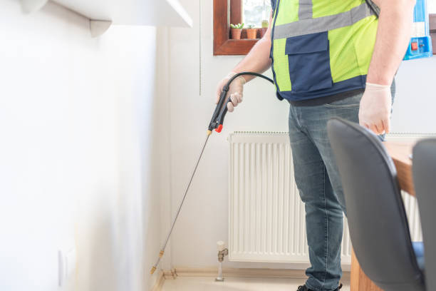 Best Flea Control Services  in West Liberty, OH