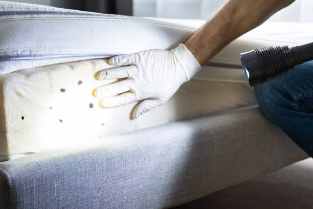 Best Pest Removal Services  in West Liberty, OH
