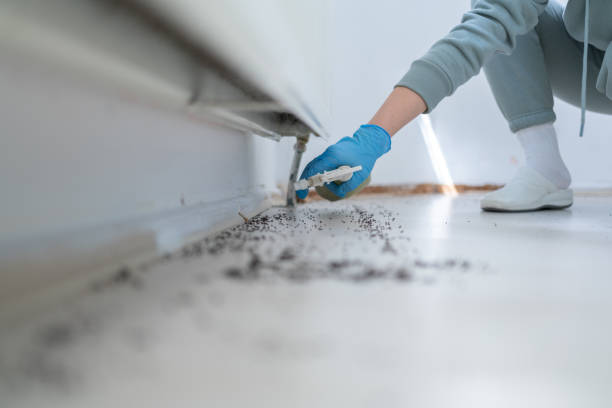 Best Ant Control Services  in West Liberty, OH